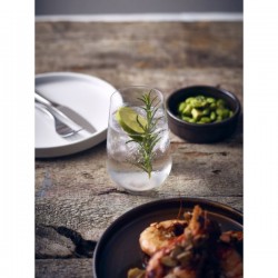 Neville Genware Ardea Rocks Tumbler, 300ml