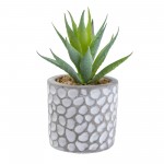 Candlelight Aloe Vera in Patterned Cement Pot Grey, 11.5cm