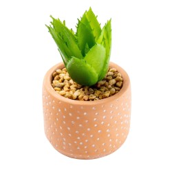 Candlelight Spikey Succulent in Spotty Cement Pot Red, 12cm