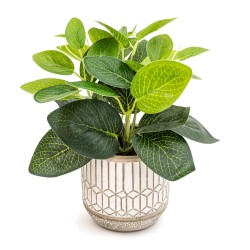 Candlelight Evergreen Leaves in Cement Pot Grey, 22cm