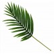 Shop quality Candlelight Single Stem Faux Palm Leaf Green, 65cm Height in Kenya from vituzote.com Shop in-store or online and get countrywide delivery!