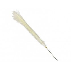 Candlelight Single Faux Pampas Grass, Bulrush White ( 78cm height)