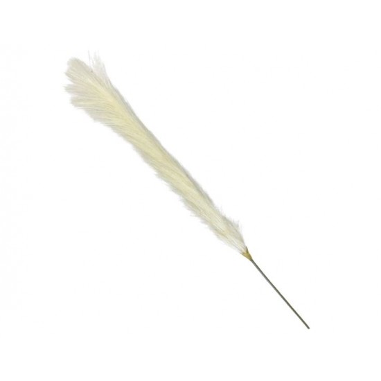 Shop quality Candlelight Single Faux Pampas Grass, Bulrush White ( 78cm height) in Kenya from vituzote.com Shop in-store or online and get countrywide delivery!