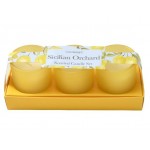 Candlelight Sicilian Orchard Set of 3 Mini Votives Candles in Gift Box Basil and Wild Lemon Scent