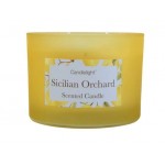 Candlelight Sicilian Orchard 2 Wick glass filled Pot Candle Basil and Wild Lemon Scent, 380g 