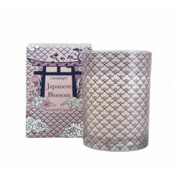 Candlelight Japanese Blossom Boxed Candle in Gift Box Wild Cheery Scent, 220g