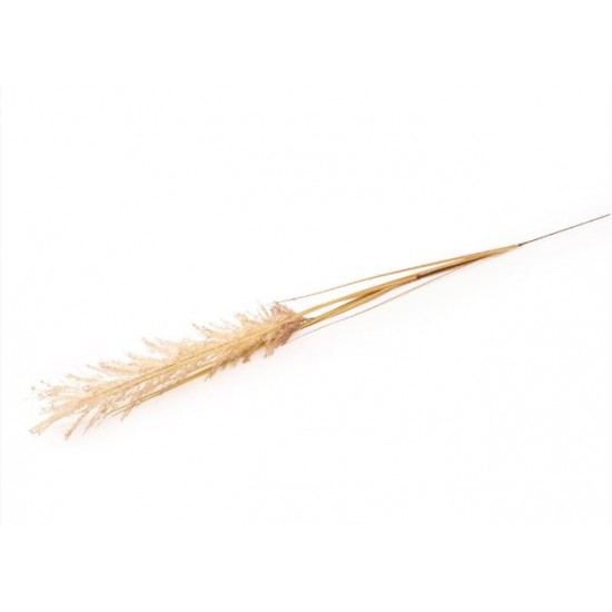 Shop quality Candlelight Natural Single Wild Grass Stem, 118cm Height in Kenya from vituzote.com Shop in-store or online and get countrywide delivery!