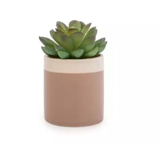 Shop quality Candlelight Succulent In Beige Ceramic Pot With White Brim, 10cm in Kenya from vituzote.com Shop in-store or online and get countrywide delivery!