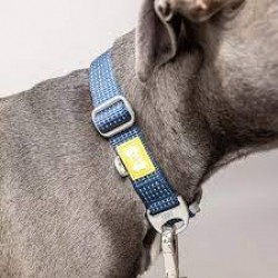 BUILT PET Night Safe Reflective Collar, Large, Blue - 46cm to 66cm