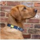 Shop quality BUILT PET NightSafe Reflective Collar, Medium, Blue - 35cm to 51cm in Kenya from vituzote.com Shop in-store or online and get countrywide delivery!
