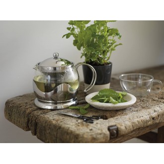 La Cafetière Izmir Glass Tea Infuser, 2-Cup, Stainless Steel