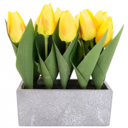 Candlelight Yellow Tulips in Grey Cement Pot, 10 pieces