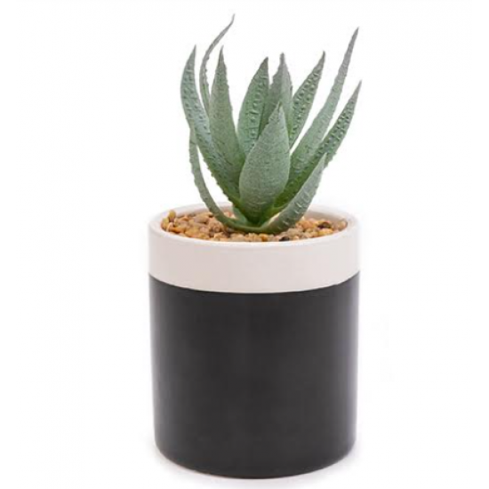 Shop quality Candlelight Aloe Vera Artificial Plant in Black Cera, 12.5cm in Kenya from vituzote.com Shop in-store or online and get countrywide delivery!