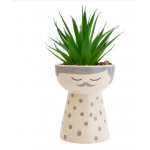 Candlelight Daddy Planter/ Succulent Artificial Plant , 11.7cm 