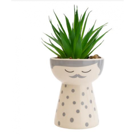 Shop quality Candlelight Daddy Planter/ Succulent Artificial Plant , 11.7cm in Kenya from vituzote.com Shop in-store or online and get countrywide delivery!