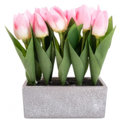Candlelight Pink Tulips in Grey Cement Pot, 10 pieces