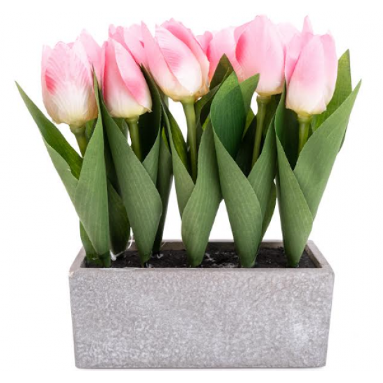 Shop quality Candlelight Pink Tulips in Grey Cement Pot, 10 pieces in Kenya from vituzote.com Shop in-store or online and get countrywide delivery!