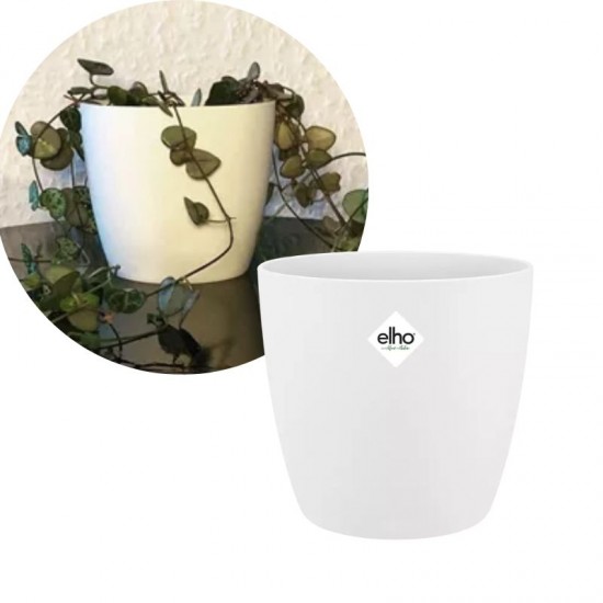 Shop quality Elho Brussels Round Indoor Flowerpot, White , 25cm in Kenya from vituzote.com Shop in-store or online and get countrywide delivery!