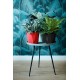 Shop quality Elho Geometric Flowerpot for Indoor - Living Black, 18 cm in Kenya from vituzote.com Shop in-store or online and get countrywide delivery!