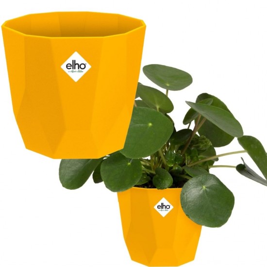 Shop quality Elho Geometric Flowerpot for Indoor -18 cm - Ochre in Kenya from vituzote.com Shop in-store or get countrywide delivery!