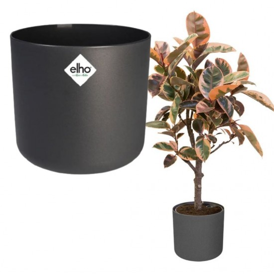 Shop quality Elho Round Indoor Flowerpot,  22cm - Anthracite in Kenya from vituzote.com Shop in-store or online and get countrywide delivery!