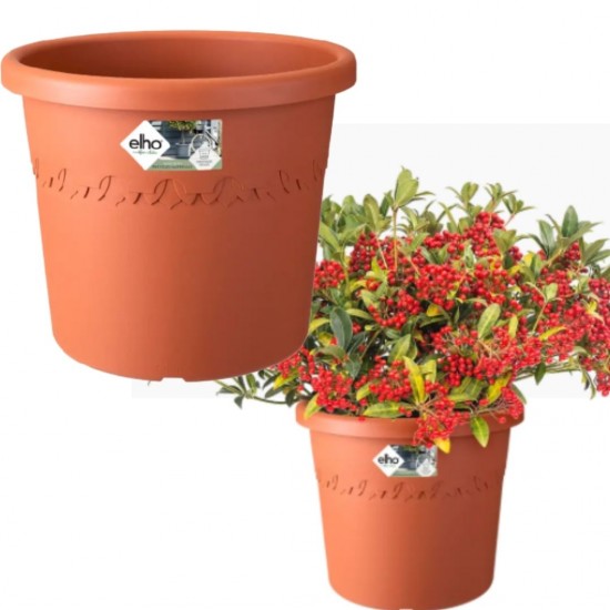 Shop quality Elho Algarve Cilindro Flower Pot, 30cm, Terra in Kenya from vituzote.com Shop in-store or get countrywide delivery!