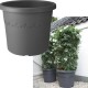 Shop quality Elho Algarve Cilindro Flower Pot, 30cm - Anthracite in Kenya from vituzote.com Shop in-store or online and get countrywide delivery!