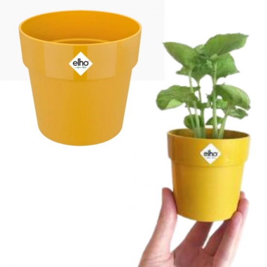 Shop quality Elho Round Mini  Flowerpot, 7cm - Ochre in Kenya from vituzote.com Shop in-store or online and get countrywide delivery!