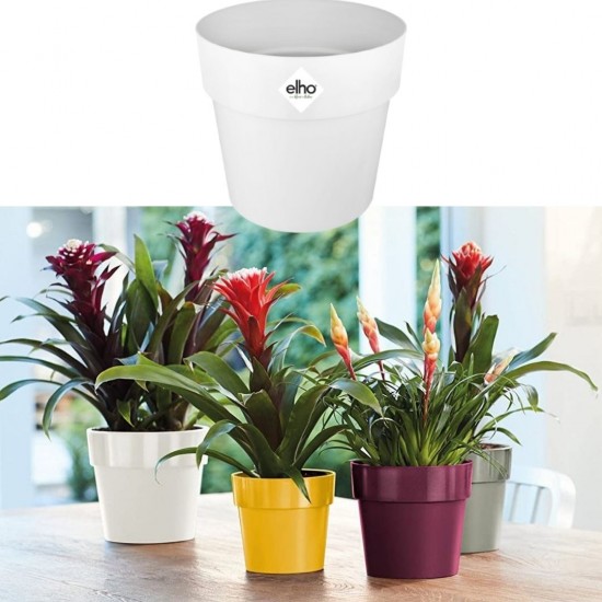 Shop quality Elho Original Round Flowerpot, White Mini - 7cm in Kenya from vituzote.com Shop in-store or get countrywide delivery!