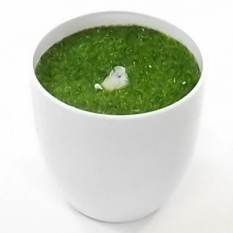 Rainbow Filled Plastic Round Pot White, 9.5 cm- (Flowers Not Included)