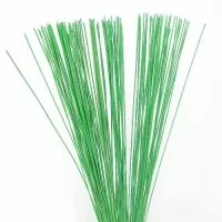 Rainbow Midollino Flexi Sticks 80cm X 150g Lime Green ) 100-150 sticks per bunch