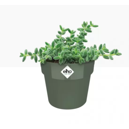 Elho Round Mini Flowerpot, 7cm - Leaf Green, 8711904348182 Shop quality Elho Round Mini Flowerpot, 7cm - Leaf Green in Kenya from vituzote.com Shop in-store or online and get countrywide delivery!
