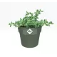 Elho Round Mini Flowerpot, 7cm - Leaf Green, 8711904348182 Shop quality Elho Round Mini Flowerpot, 7cm - Leaf Green in Kenya from vituzote.com Shop in-store or online and get countrywide delivery!