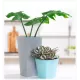 Wham Square Studio Planter Cover Pot, Duck Egg Blue, 14cm Height, 27155DB Shop quality Wham Square Studio Planter Cover Pot, Duck Egg Blue, 14cm Height in Kenya from vituzote.com Shop in-store or online and get countrywide delivery!