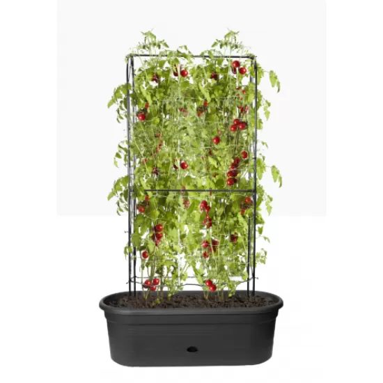 Shop quality Elho Green Basics Veggie Wall Pot 80cm in Kenya from vituzote.com Shop in-store or online and get countrywide delivery!