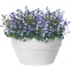 Shop quality Elho Vibia Campana Pot, Living Concrete, 27cm in Kenya from vituzote.com Shop in-store or online and get countrywide delivery!