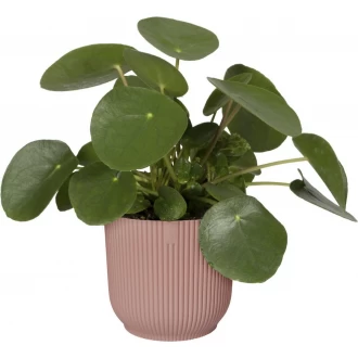 Elho Vibes Fold Round Flowerpot, Delicate Pink with Liner - 18cm