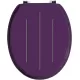 Premier Bling Diamante Toilet Seat - Purple, 1604098 Shop quality Premier Bling Diamante Toilet Seat - Purple in Kenya from vituzote.com Shop in-store or online and get countrywide delivery!