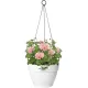 Elho Vibia Campana Hanging Basket 26cm, White, 8711904496678 Shop quality Elho Vibia Campana Hanging Basket 26cm, White in Kenya from vituzote.com Shop in-store or online and get countrywide delivery!