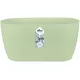 Shop quality Elho Brussels Orchid Duo Indoor Flowerpot - Soft Green - 12.6 cm Height in Kenya from vituzote.com Shop in-store or online and get countrywide delivery!