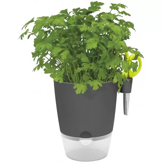 Elho Herbs All-in-1 Flowerpot & Herb Scissors, Anthracite, 13 cm, 8112211342500 Shop quality Elho Herbs All-in-1 Flowerpot & Herb Scissors, Anthracite, 13 cm in Kenya from vituzote.com Shop in-store or online and get countrywide delivery!