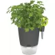 Elho Herbs All-in-1 Flowerpot & Herb Scissors, Anthracite, 13 cm, 8112211342500 Shop quality Elho Herbs All-in-1 Flowerpot & Herb Scissors, Anthracite, 13 cm in Kenya from vituzote.com Shop in-store or online and get countrywide delivery!