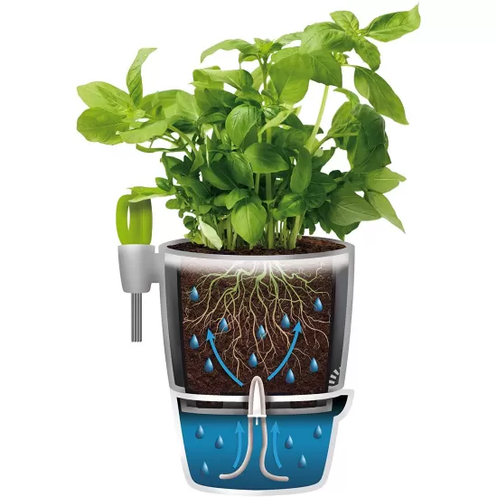 Elho Herbs All-in-1 Flowerpot & Herb Scissors, Anthracite, 13 cm, 8112211342500 Shop quality Elho Herbs All-in-1 Flowerpot & Herb Scissors, Anthracite, 13 cm in Kenya from vituzote.com Shop in-store or online and get countrywide delivery!