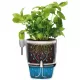 Elho Herbs All-in-1 Flowerpot & Herb Scissors, Anthracite, 13 cm, 8112211342500 Shop quality Elho Herbs All-in-1 Flowerpot & Herb Scissors, Anthracite, 13 cm in Kenya from vituzote.com Shop in-store or online and get countrywide delivery!