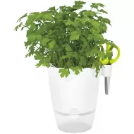 Elho Herbs All-in-1 Flowerpot & Herb Scissors, White, 13 cm
