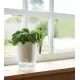 Shop quality Elho Herbs All-in-1 Flowerpot & Herb Scissors, White, 13 cm in Kenya from vituzote.com Shop in-store or online and get countrywide delivery!