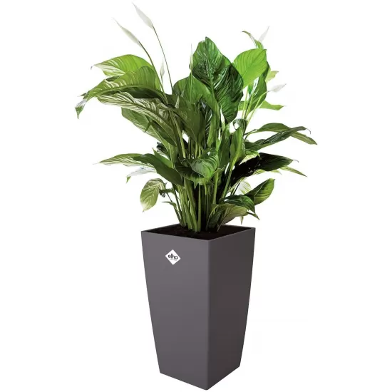 Elho Milano Flowerpot, Anthracite, 36.3 cm Height, 6223602042500 Shop quality Elho Milano Flowerpot, Anthracite, 36.3 cm Height in Kenya from vituzote.com Shop in-store or online and get countrywide delivery!