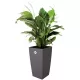 Elho Milano Flowerpot, Anthracite, 36.3 cm Height, 6223602042500 Shop quality Elho Milano Flowerpot, Anthracite, 36.3 cm Height in Kenya from vituzote.com Shop in-store or online and get countrywide delivery!