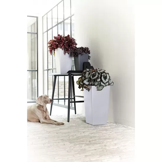 Elho Milano Flowerpot, White, 36.3 cm Height, 6223602015000 Shop quality Elho Milano Flowerpot, White, 36.3 cm Height in Kenya from vituzote.com Shop in-store or online and get countrywide delivery!