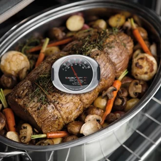 Taylor Professional Stainless Steel Leave-In Meat Thermometer